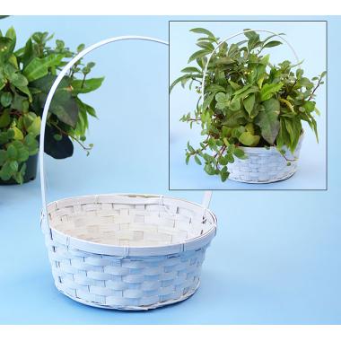 bamboo round 10  shop so581 1w wholesale basket containers handled baskets medium