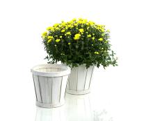 6  woodchip pot cover white pd04 1w wholesale covers 6