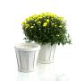 6  woodchip pot cover white pd04 1w wholesale covers 6