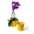 65  tin pot goldenrod yellow by08 1gy wholesale metal containers pails pots