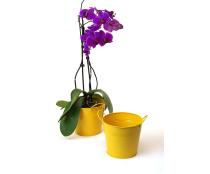 65  tin pot goldenrod yellow by08 1gy wholesale metal containers pails pots