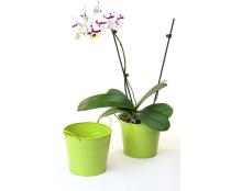 65  tin pot lime green by08 1lg wholesale metal containers pails pots
