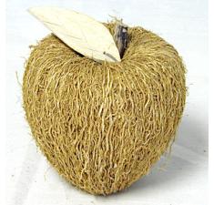 morras apple medium xx91 1 wholesale craft items warehouse closeouts 0