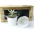 5  tin pot white by03 1w wholesale metal containers pails pots