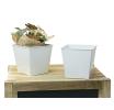 5 sq tin pot white by58 1w wholesale metal containers pails pots rectangle