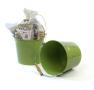85  pail lime green by09 1lg wholesale metal containers pails pots large