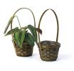 5  bamboo utility shop stained so575 1s wholesale basket containers handled baskets