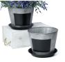 8  tin pot saucer vintage finish chalkboard by208 1vinch wholesale