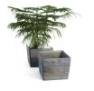 sq top wooden planter farmhouse blue pd480 1 handles bowls