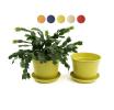 675  biodegradable pot tray yellow pe03 1y wholesale basket containers