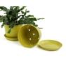 675  biodegradable pot tray yellow pe03 1y wholesale basket containers