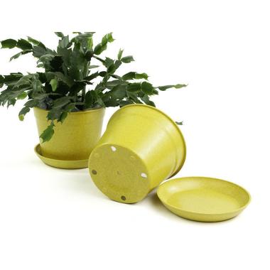 675  biodegradable pot tray yellow pe03 1y wholesale basket containers