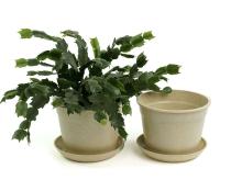 675  biodegradable pot tray cream pe03 1cr wholesale basket containers