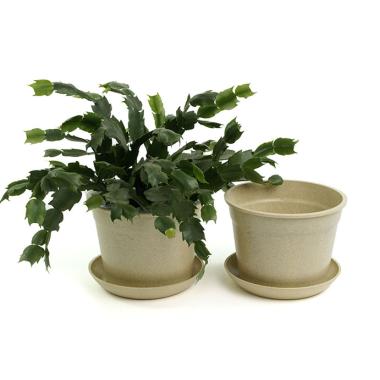 675  biodegradable pot tray cream pe03 1cr wholesale basket containers