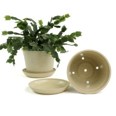 675  biodegradable pot tray cream pe03 1cr wholesale basket containers