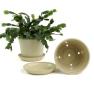 675  biodegradable pot tray cream pe03 1cr wholesale basket containers