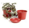 675  biodegradable pot tray red pe03 1r wholesale basket containers