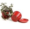 675  biodegradable pot tray red pe03 1r wholesale basket containers