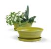 975  oval biodegradable tray yellow pe05 1y handles bowls