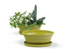 975  oval biodegradable tray yellow pe05 1y handles bowls