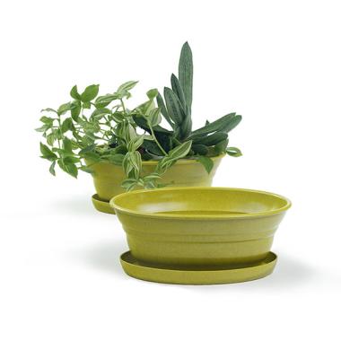 975  oval biodegradable tray yellow pe05 1y handles bowls