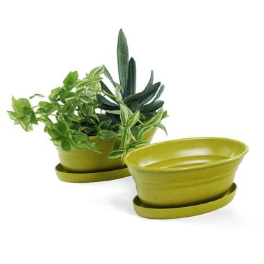 975  oval biodegradable tray yellow pe05 1y handles bowls