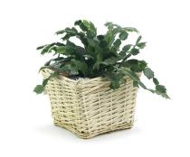 willow square top deep tray sewn lining pw67 1lg