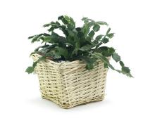 willow square top deep tray sewn lining pw67 1lg