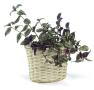 willow oval deep tray sewn lining pw23 1lg handles