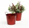 65  tin pot translucent red by08 1tr wholesale metal containers pails pots