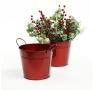 65  tin pot translucent red by08 1tr wholesale metal containers pails pots