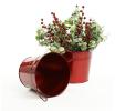 65  tin pot translucent red by08 1tr wholesale metal containers pails pots