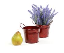 5  tin pot translucent red by03 1tr wholesale metal containers pails