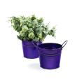 5  tin pot translucent purple by03 1tprp wholesale metal containers
