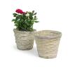 rattan pot cover whitewash 6  pr06 1w wholesale basket containers