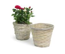 rattan pot cover whitewash 6  pr06 1w wholesale basket containers