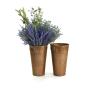 french bucket copper finish by883 1cop wholesale metal containers market buckets