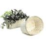 14  bamboo double planter bo771 1w handles bowls trays
