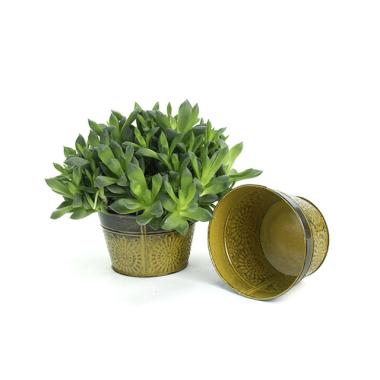 65  round tub cove antique yellow by216 1y wholesale