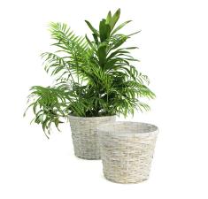 rattan pot cover 10  12  round pr10 1w wholesale basket