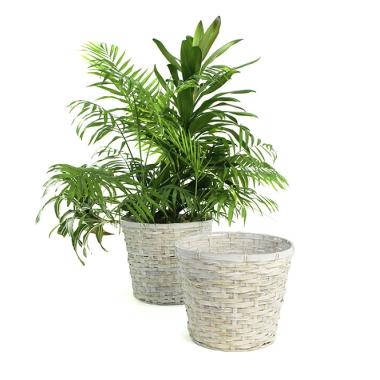rattan pot cover 10  12  round pr10 1w wholesale basket