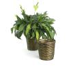 rattan pot cover 8  pr08 1s wholesale basket containers
