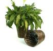 rattan pot cover 8  pr08 1s wholesale basket containers