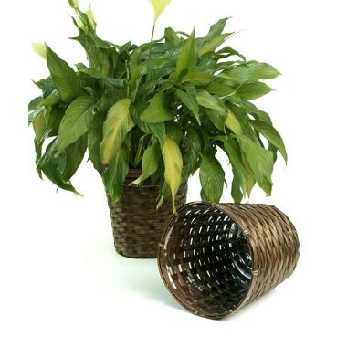 rattan pot cover 8  pr08 1s wholesale basket containers