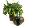 rattan pot cover 8  pr08 1s wholesale basket containers