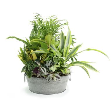 10  galvanized tub round vintage finish by25 1vin wholesale metal containers