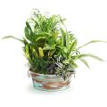 10  tub verdigriscopper by25 1ver wholesale metal containers round tubs 9