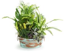 10  tub verdigriscopper by25 1ver wholesale metal containers round tubs 9