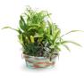 10  tub verdigriscopper by25 1ver wholesale metal containers round tubs 9