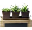 metal powder coated brown herb container by42 1br wholesale containers